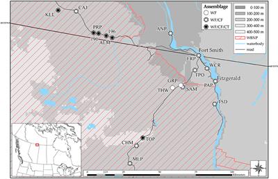 Ranavirus Amplification in Low-Diversity Amphibian Communities